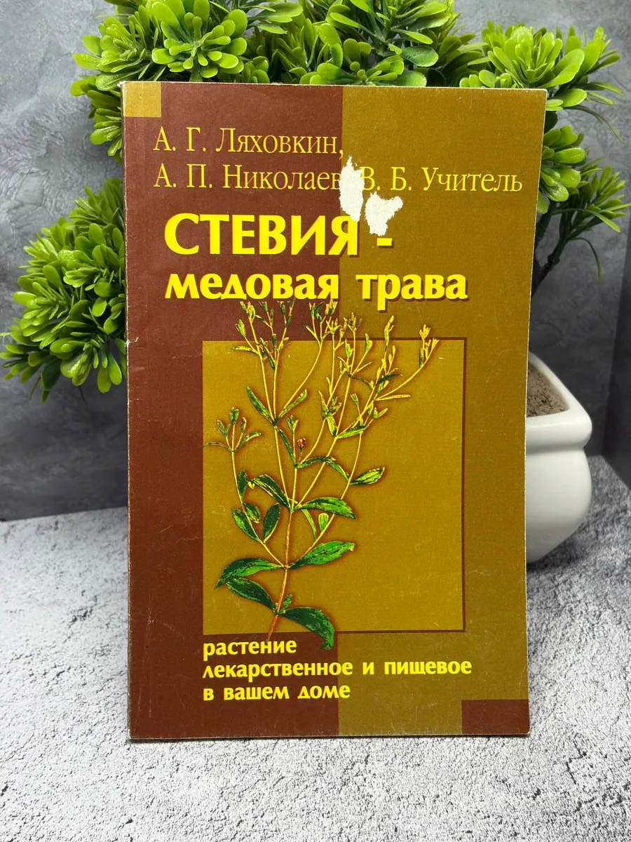 Стевия-медовая трава — фото 1
