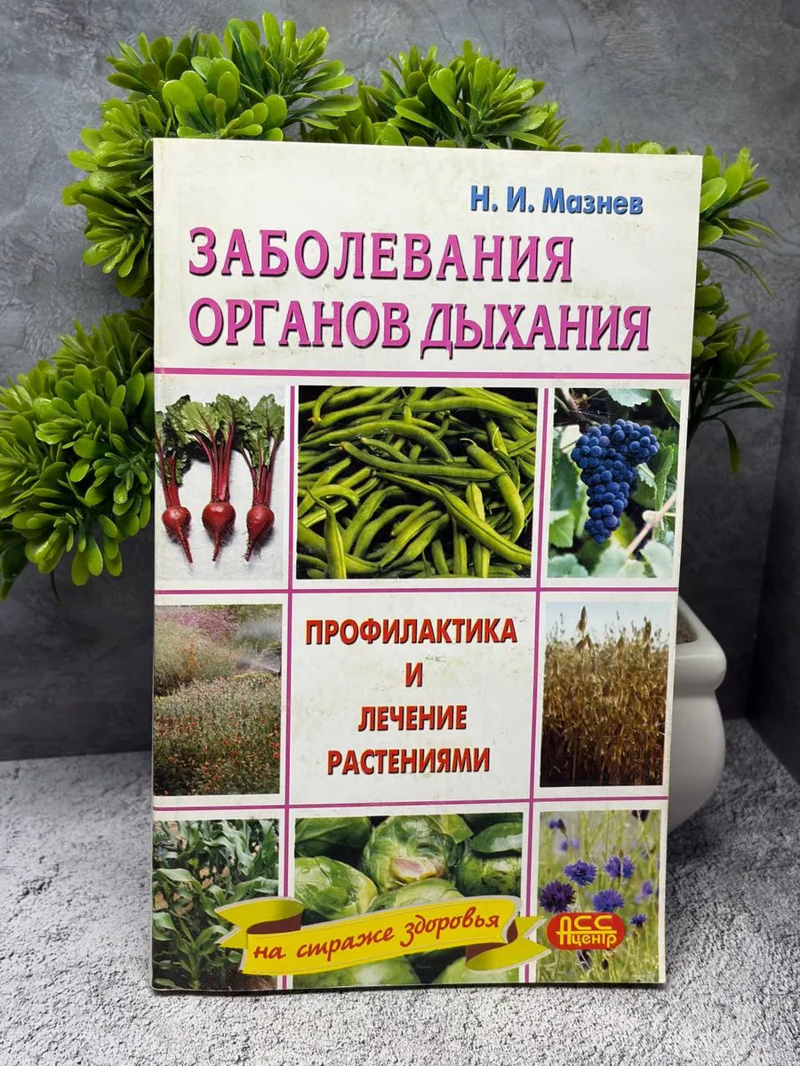 Заболевания органов дыхания. Лечение растениями