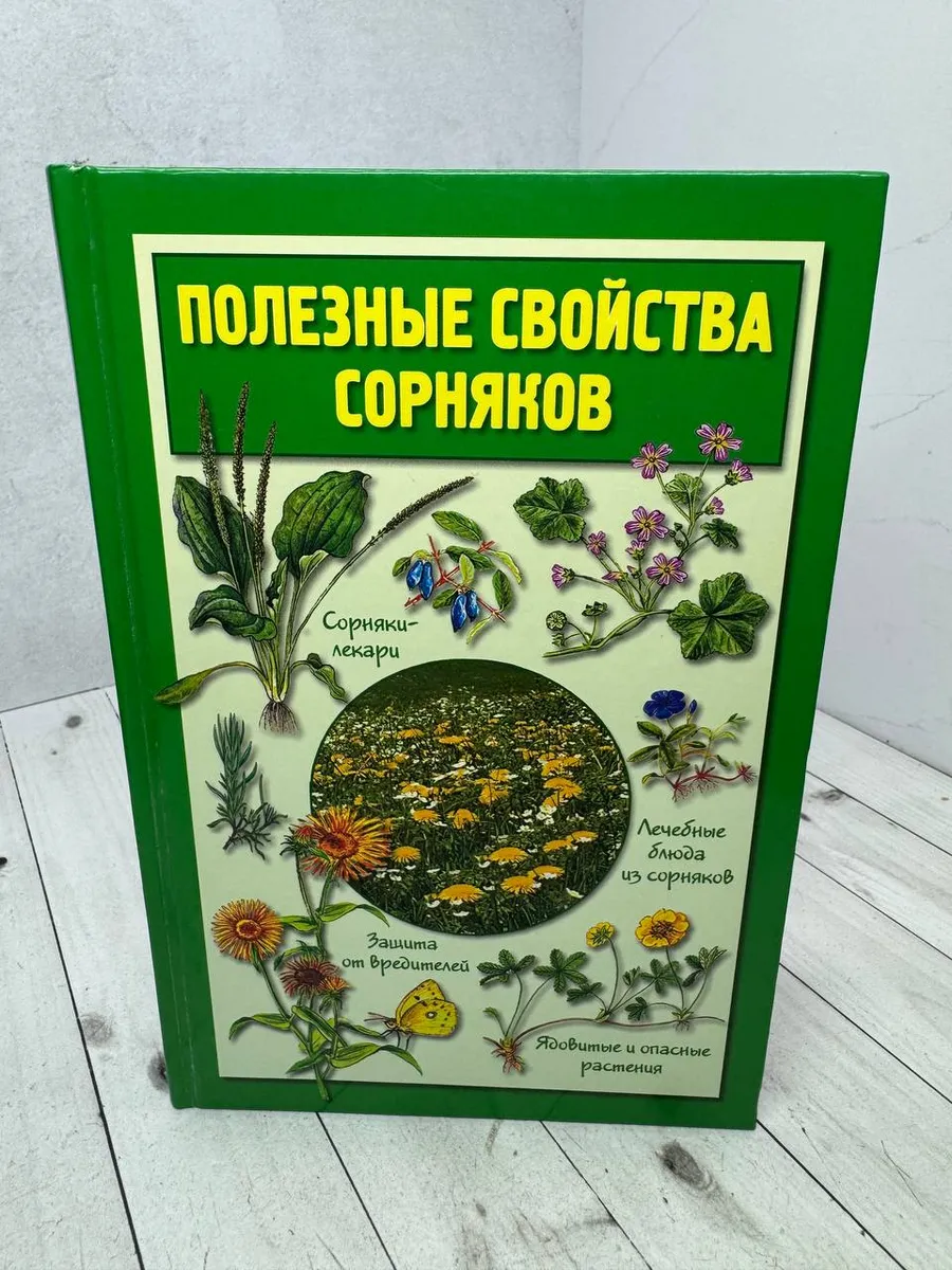 Полезные свойства сорняков — фото 1