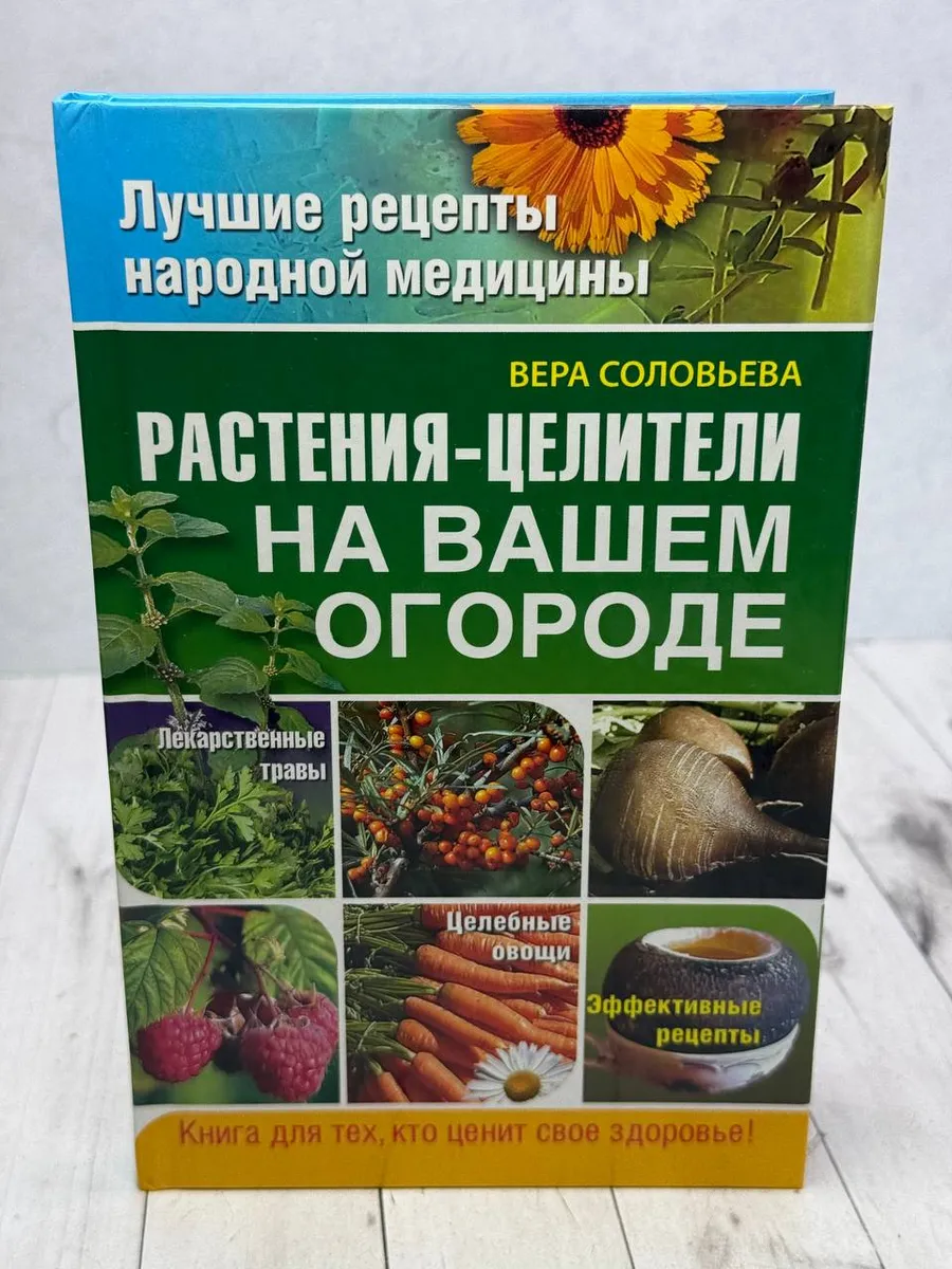 Растения - целители на вашем огороде — фото 1