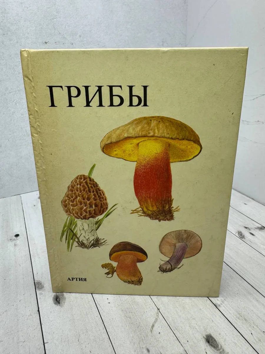 Грибы