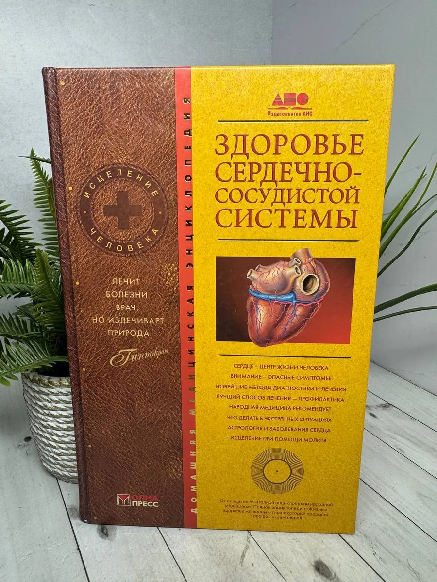 Здоровье сердечно-сосудистой системы