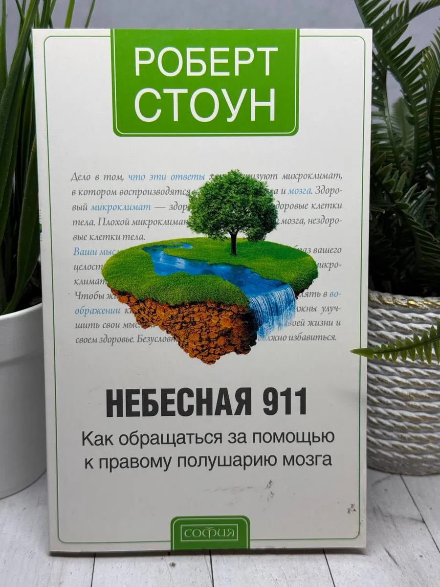 Небесная 911