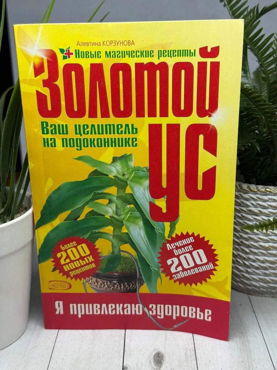 Золотой ус - ваш целитель на подоконнике