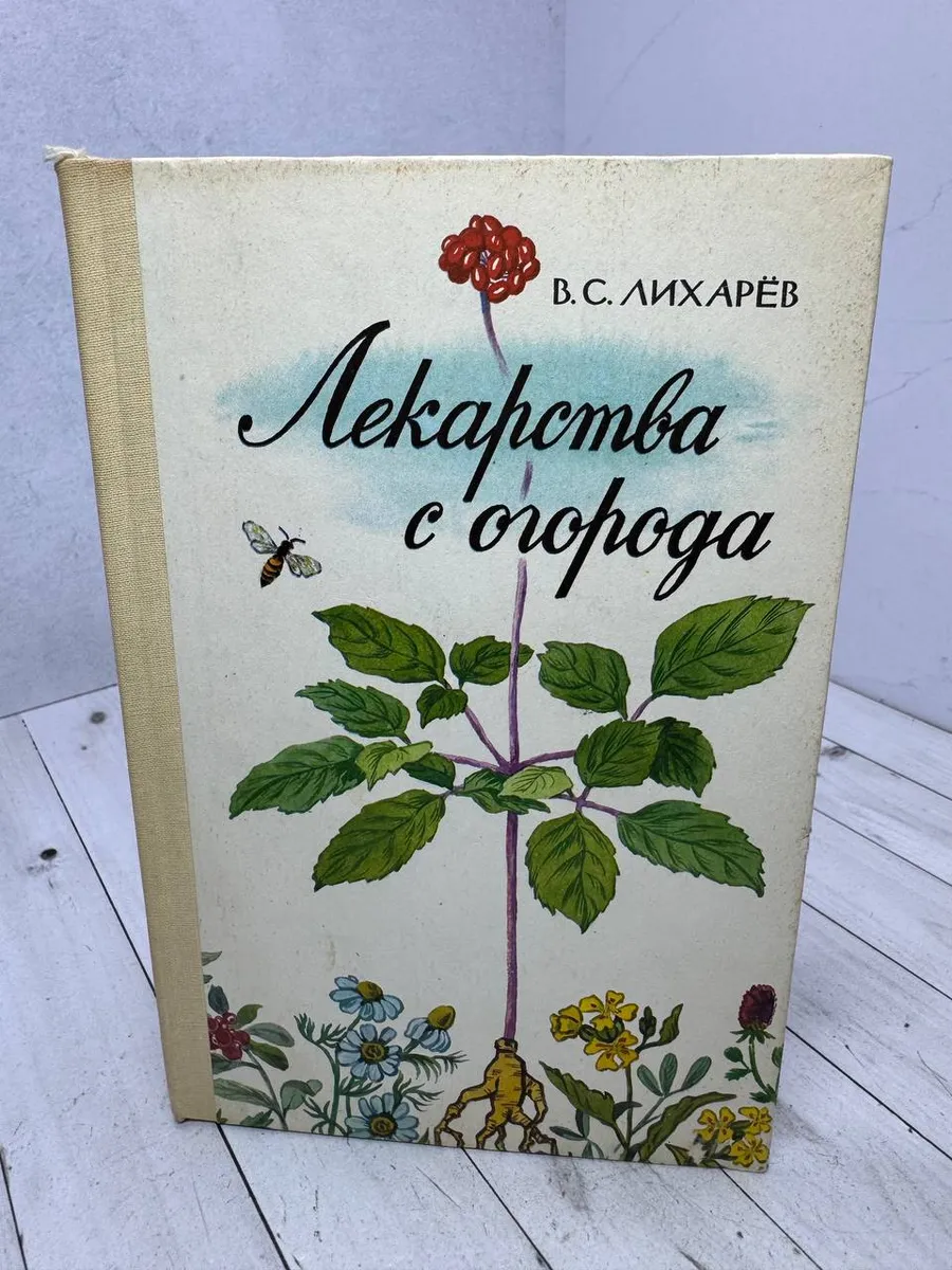 Лекарства с огорода — фото 1